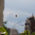 20100813 152955